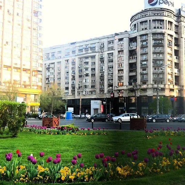 Apartment Yellow Romania